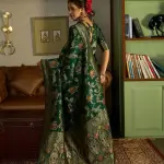 Vichitra Sarees Green kanjivaram sarees banarsi sari For Woman With Blouse Piece